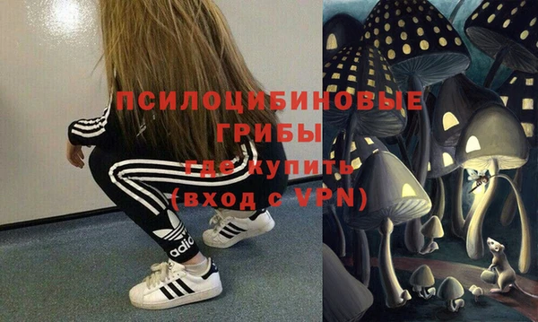 шишки Наволоки