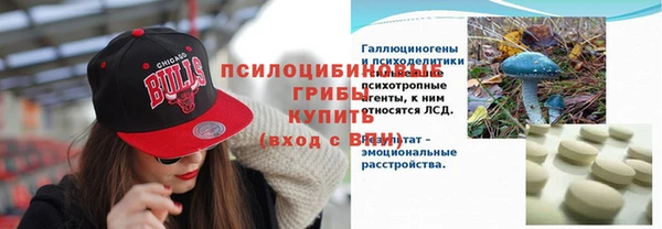 шишки Наволоки