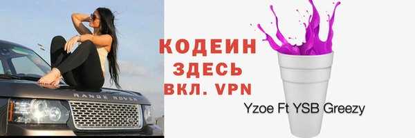 шишки Наволоки