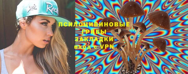 шишки Наволоки