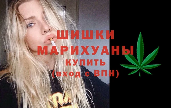 шишки Наволоки