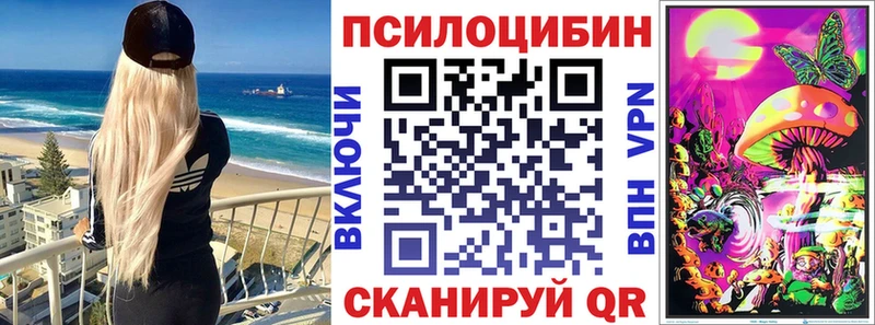 Псилоцибиновые грибы Psilocybe Купить где Карабаш