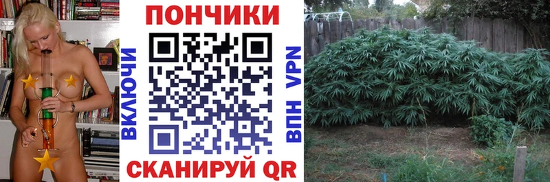 Купить  Карабаш  Бошки Шишки MAZAR 